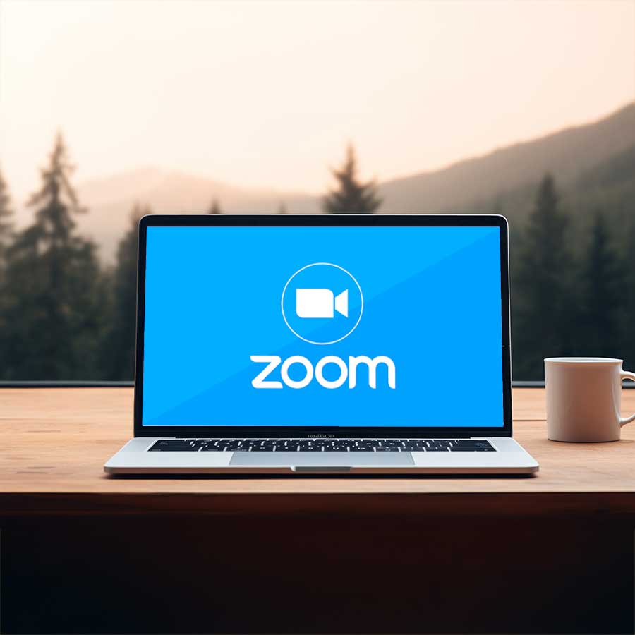 DSE Assessor Training via Zoom